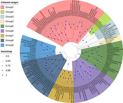 Frontiers Genome Wide Identification Of Genes Encoding Cystathionine